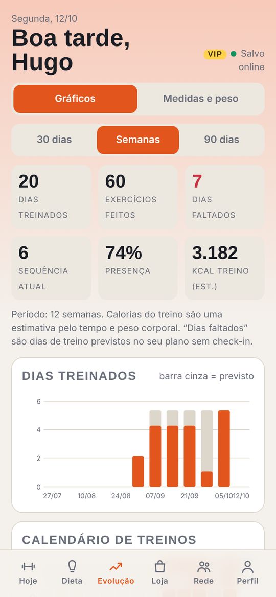 Tela de evolução com gráficos de treino